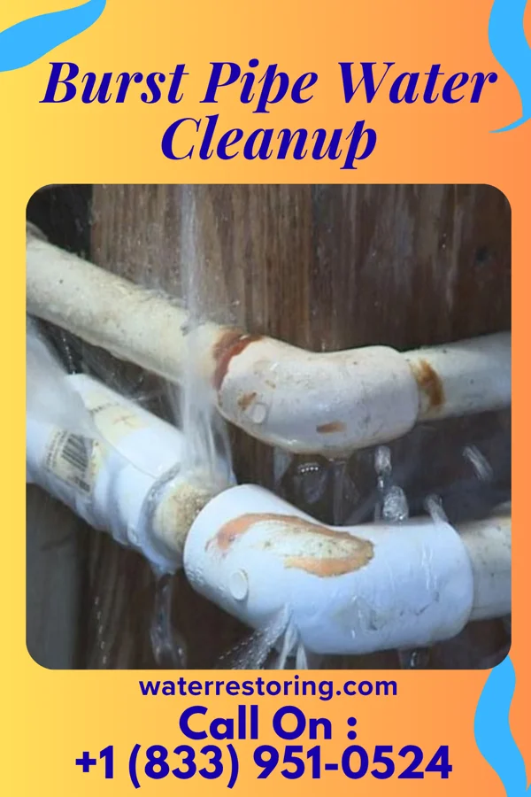 Burst Pipe Water Cleanup in Webber, KS