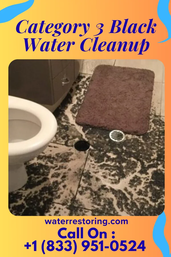 Category 3 Black Water Cleanup in Webber, KS