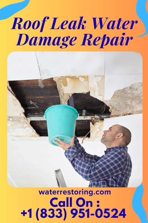 Roof Leak Water Damage Repair in Webber, KS