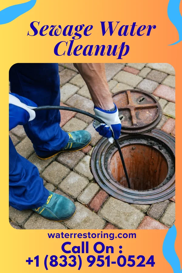 Sewage Water Cleanup in Webber, KS